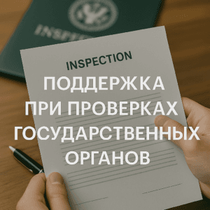 Виды проверок при юридической поддержке от государственных органов